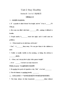 初中英语Section B精品同步训练题