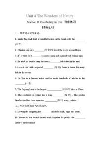 初中英语人教版（2024）八年级下册（2024）Section B精品课后复习题