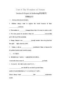 初中英语人教版（2024）八年级下册（2024）Section B优秀复习练习题