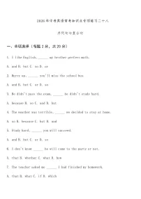 专项练习二十八 (并列句与复合句) 中考英语常考知识点专项练习