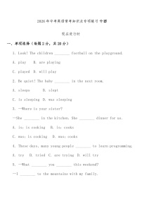 专项练习十四 (现在进行时) 中考英语常考知识点专项练习