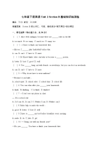 人教版（2024）七年级下册（2024）Unit 2 No Rules No Order习题