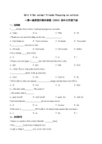 英语七年级下册（2024）Section 4课时作业