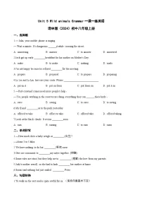 牛津译林版（2024）Grammar巩固练习