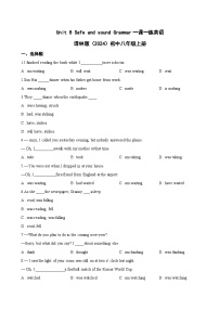 牛津译林版（2024）八年级上册（2024）Grammar一课一练
