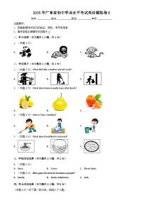 2025年广东省初中学业水平考试英语模拟卷6-A4