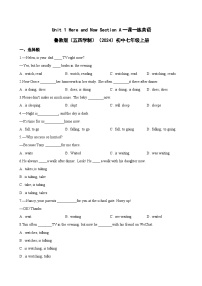 初中鲁教版（五四学制）（2024）Unit 1 Here and Now Section A练习题