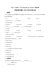 初中Focusing on culture练习