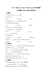 沪外教版（2024）七年级上册（2024）C Grammaring随堂练习题