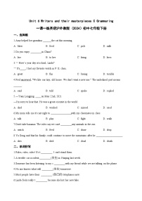 初中英语沪外教版（2024）七年级下册（2024）C Grammaring同步训练题