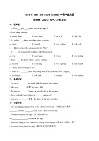 初中牛津译林版（2024）Unit 8 Safe and soundGrammar同步达标检测题