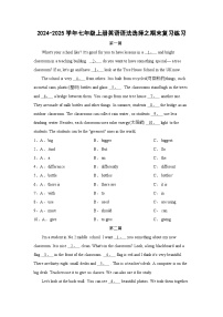 人教版英语（2024）七年级上册 语法选择期末练习（含答案）