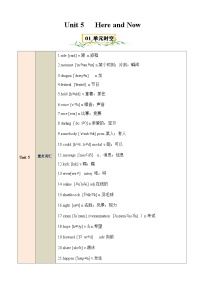 初中英语人教版（2024）七年级下册（2024）Unit 5 Here and Now导学案及答案
