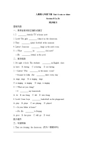 人教版（2024）七年级下册（2024）Unit 6 Rain or Shine同步练习题