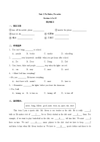 初中英语人教版（2024）七年级下册（2024）Unit 2 No Rules No Order复习练习题