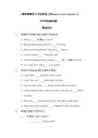 人教版（2024）七年级上册（2024）Unit 3 Welcome! Section B课后练习题