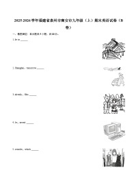 2025-2026学年福建省泉州市南安市九年级（上）期末英语试卷（B卷）-自定义类型