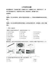 吉林省蛟河市2025_2026学年七年级上学期期中考试英语试题（文字版，含答案）