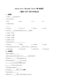 初中人教版（2024）Unit 3 Welcome!习题