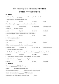 沪外教版（2024）七年级下册（2024）C Grammaring当堂达标检测题