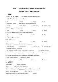 沪外教版（2024）七年级下册（2024）C Grammaring当堂达标检测题