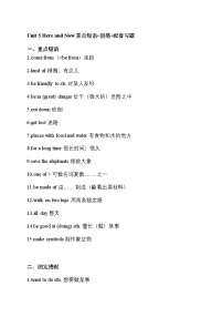 初中英语人教版（2024）七年级下册（2024）Unit 5 Here and Now练习题