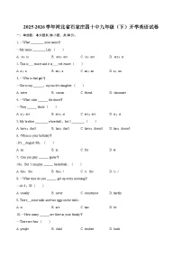 2025-2026学年河北省石家庄四十中九年级（下）开学英语试卷-自定义类型