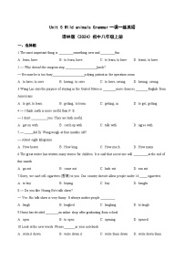 牛津译林版（2024）八年级上册（2024）Grammar课时作业