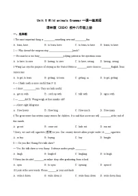 牛津译林版（2024）八年级上册（2024）Grammar课时作业