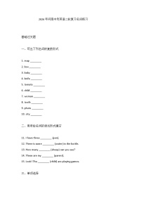 2026年河南中考英语-二轮复习-名词练习