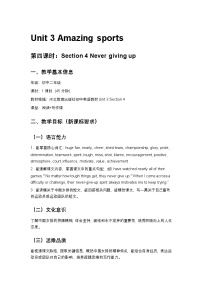 初中英语冀教版（2024）八年级下册（2024）Lesson 4 Never giving up第4课时教学设计及反思