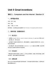 初中英语冀教版（2024）八年级下册（2024）Lesson 3 Computers and the internet第3课时教案