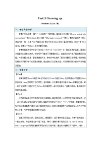 初中英语人教版（2024）八年级下册（2024）Section A表格教学设计