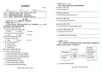 2025-2026学年北京市海淀区九年级上学期1月期末考试英语试题（无答案）