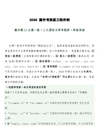 中考英语三轮冲刺练习+答案 微专题11主谓一致·三大原则与常考陷阱·终极突破