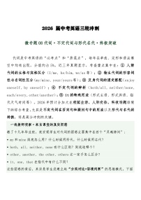 中考英语三轮冲刺练习+答案 微专题08代词·不定代词与形代名代·终极突破
