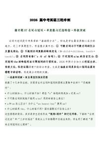 中考英语三轮冲刺练习+答案 微专题07名词与冠词·单复数与泛指特指·终极突破