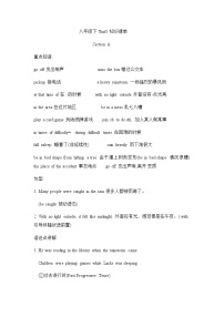 人教新目标 (Go for it) 版Unit 5 What were you doing when the rainstorm came?学案