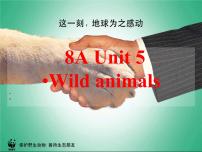 牛津译林版八年级上册Unit 5 Wild animals课文配套课件ppt