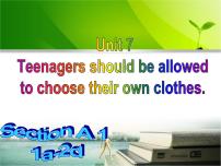 九年级全册Unit 7 Teenagers should be allowed to choose their own clothes.综合与测试说课ppt课件