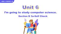 初中Unit 6 I’m going to study computer science.Section B完美版ppt课件