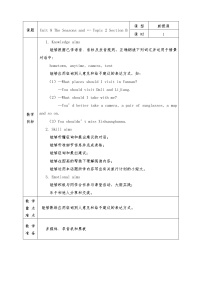 初中英语仁爱科普版七年级下册Topic 2 The summer holidays are coming.教案