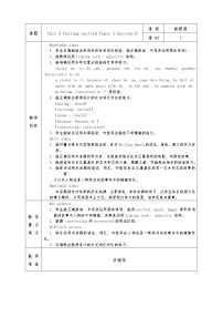 初中仁爱科普版Unit  5  Feeling excitedTopic 1 You look excited教案设计