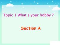 初中仁爱科普版Topic 1 What's your hobby?图片课件ppt