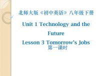 初中英语北师大版八年级下册Lesson 3 Tomorrow's Jobs评课课件ppt