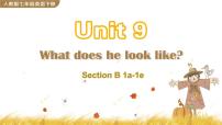 人教新目标 (Go for it) 版七年级下册Unit 9 What does he look like?Section B优质课件ppt