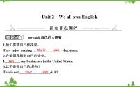 外研版 (新标准)九年级下册Unit 2 We all own English.评优课课件ppt