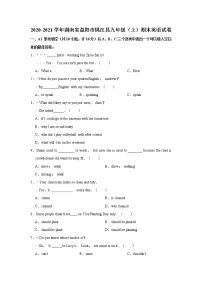 湖南省益阳市桃江县2020-2021学年九年级（上）期末英语试卷     解析版