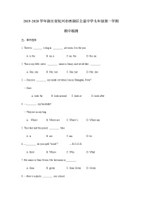 浙江省杭州市西湖区公益中学2019-2020学年七年级第一学期期中检测（有答案）