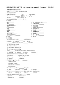 人教新目标 (Go for it) 版八年级下册Section B课后复习题